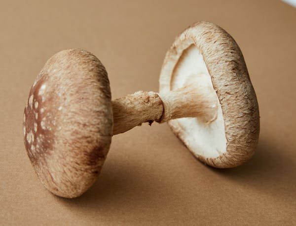 vegan mushroom gummies